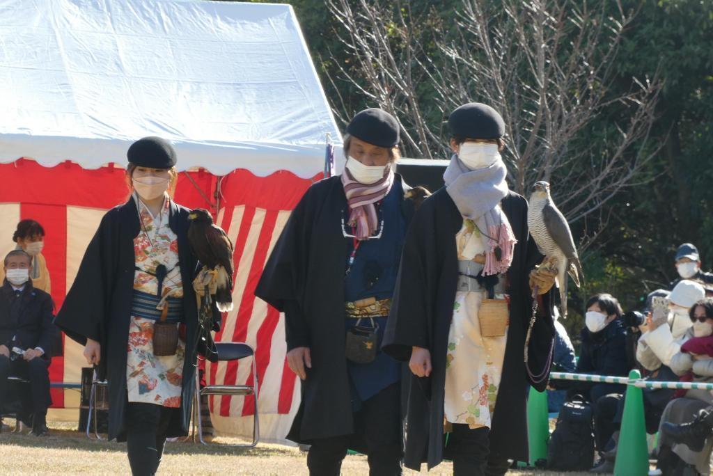 Hamarikyu, New Year's falconry demonstration to get used to the environment