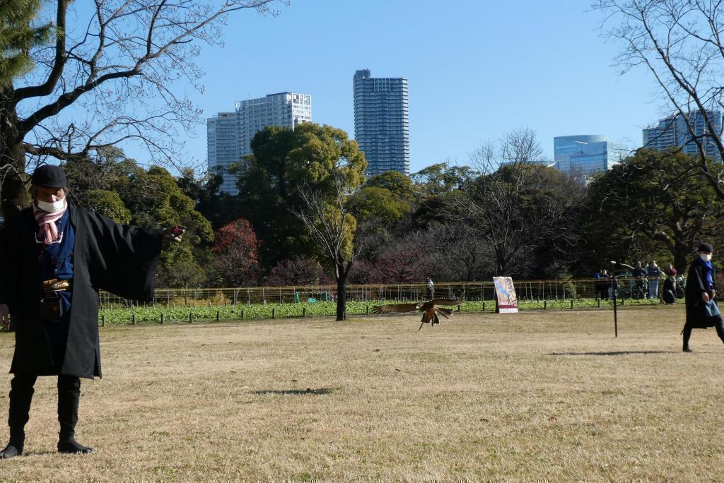  Hamarikyu Demonstration of New Year's Falconry