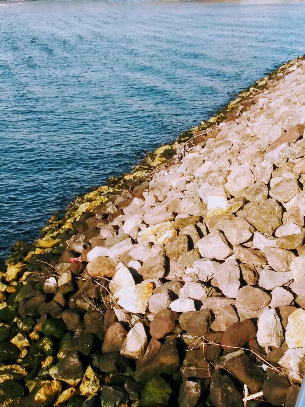  Consideration of Tsukishima Beach