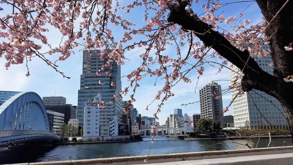  Walk to search for early blooming spring