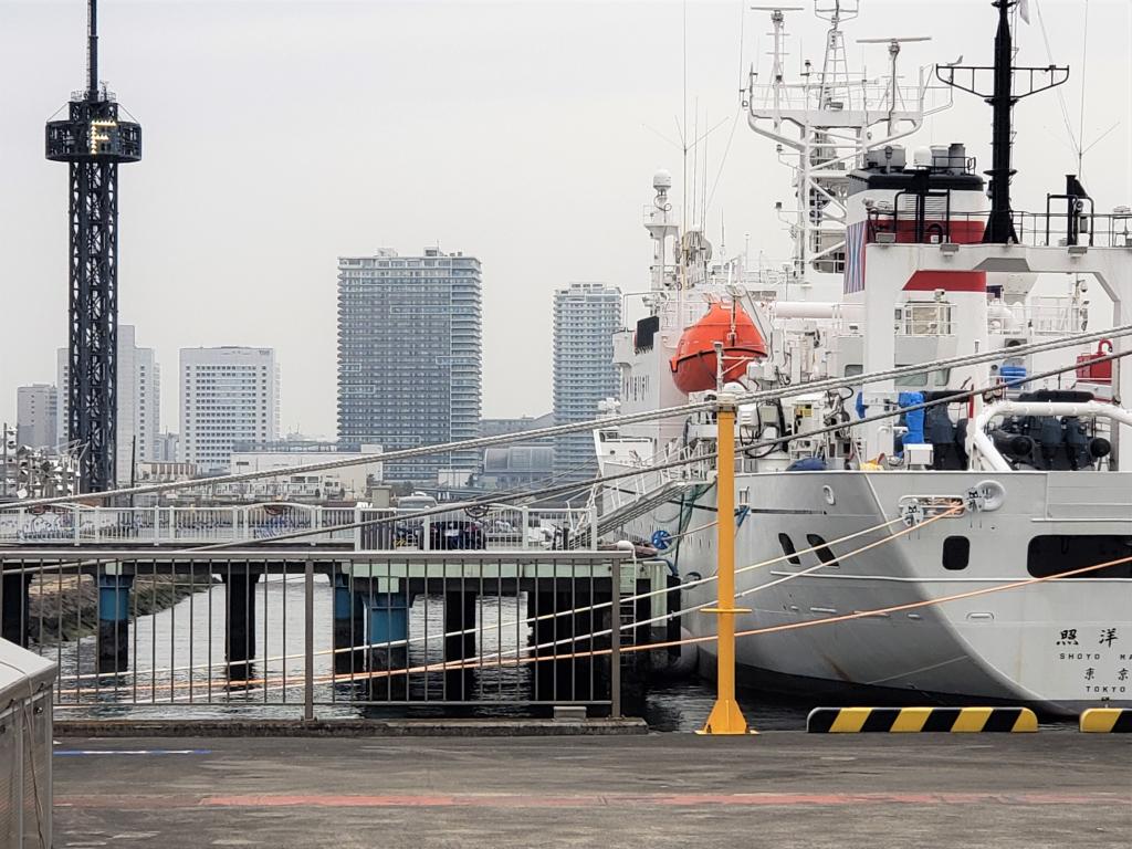  Enjoy the spring at the new Harumi Pier Park.