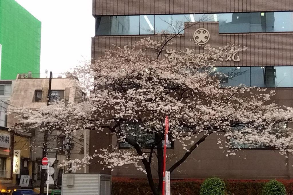 Take a walk from Tsukiji Kyobashi, a food town