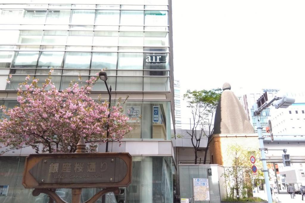 On April 6th, Ginza Sakura-dori St. Yaezakura was in full bloom.