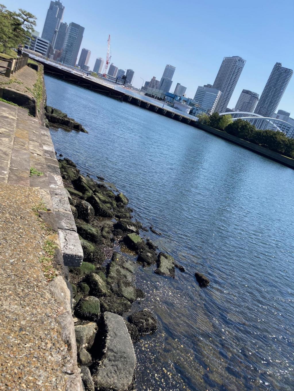  Picking up the head of Hamarikyu