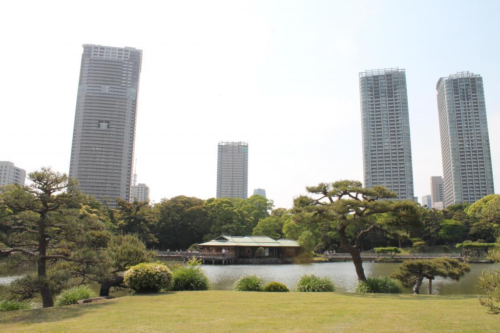  Is it a mystery to the stone wall of Hamarikyu? The mark is!