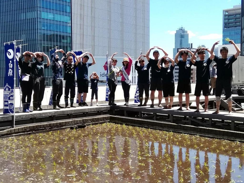  "Hakuzuru Ginza Tenku Farm" This year in 2023 is also rice planting.
　　~ Hakutsuru Sake Brewery ~