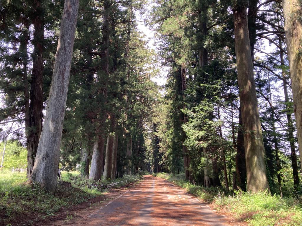  From Nihonbashi to Nikko on foot! I recommend walking along the highway