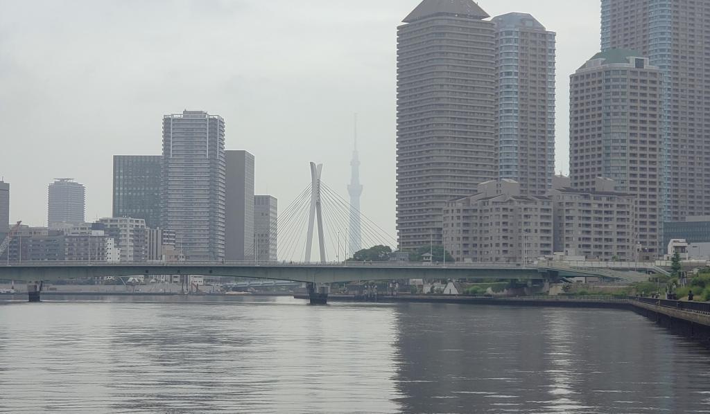  Sumida River Terrace (left bank) From Kachidokibashi to Tsukuda-ohashi Bridge