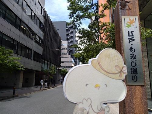  The sidewalk in Chuo-ku is interesting! 34.Momiji Street in Edo