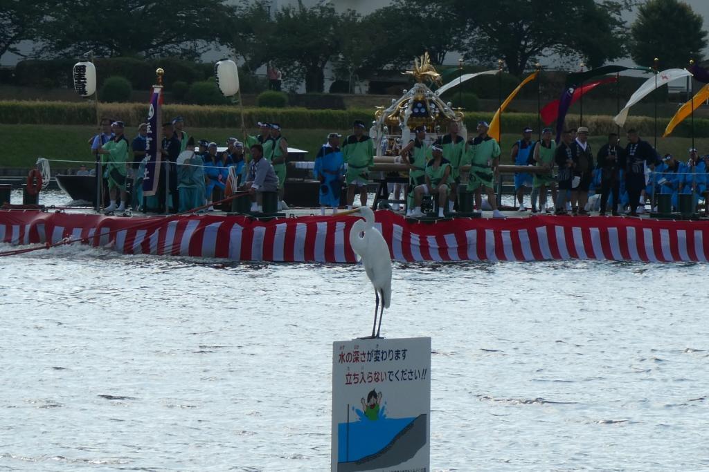  Tsukuda, Sumiyoshi-jinja Shirine Ship imperial procession and Fukagawa Hachiman Festival this weekend