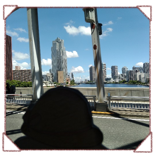  Minatokko Diary Summer Edo Bus Trip ♪ South circulation