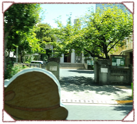  Minatokko Diary Summer Edo Bus Trip ♪ South circulation