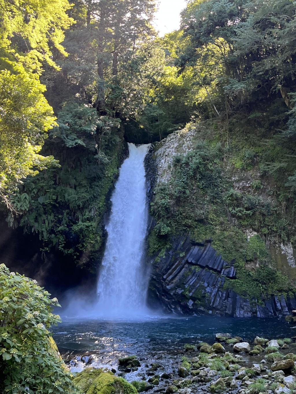 I was attracted to Joren Falls and the Super Bloomoon Izu dancer "Reishijima" I saw in Shimoda.