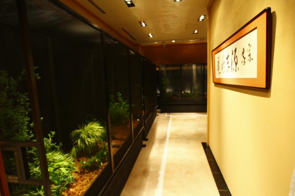  The 16th Genji Firefly Watching Party, a firefly born in Ginza-Genkichoan Ginza Main Store-