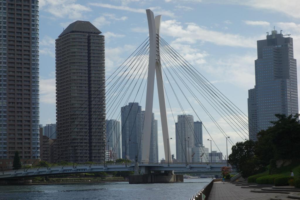     Scenery from Chuo-ohashi Bridge and Sumida River Mainstream Sumida River Terrace <Shinkawa Park>