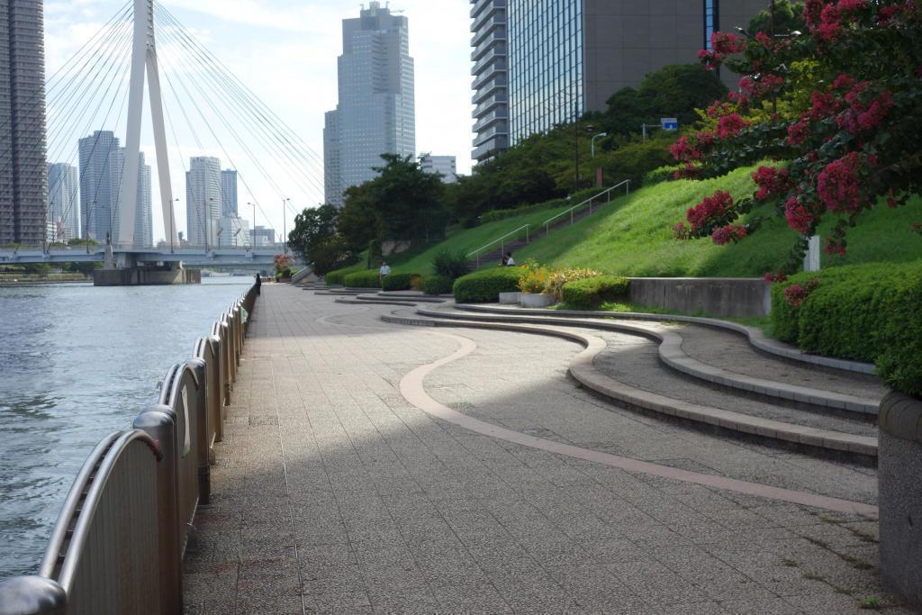 　Scenic from Sumida River Terrace Sumida River Terrace in Shinkawa Park <Shinkawa Park>