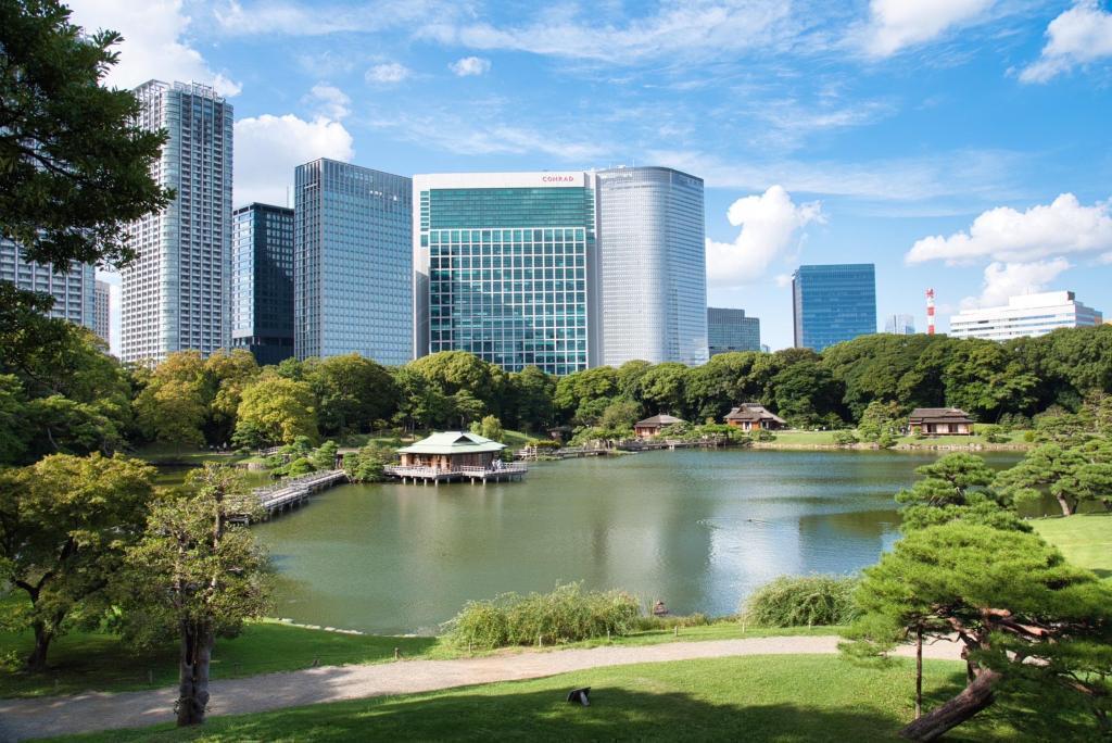 Scenery overlooking Shioiri Pond-Hamarikyu Onshi Garden-Kibana Cosmos is in full bloom.