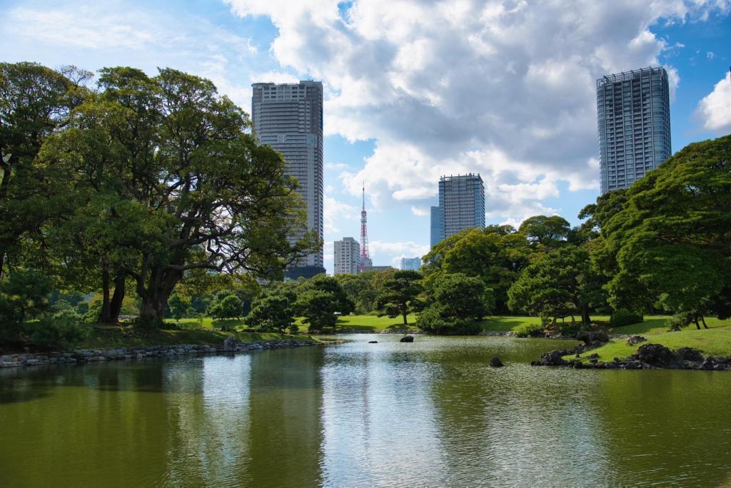 The best time to see Tokyo Tower beyond the garden-Hamarikyu Garden-Kibana Cosmos is the best time to see.