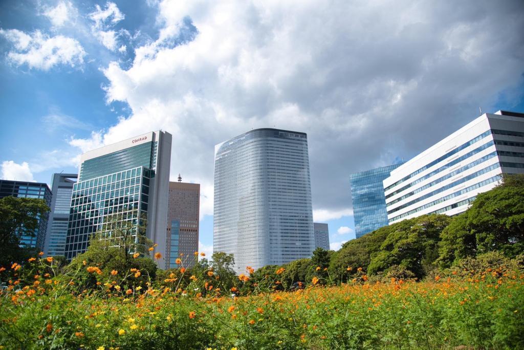 Bill and Kibana Cosmos-Hamarikyu Garden-Kibana Cosmos is in full bloom.