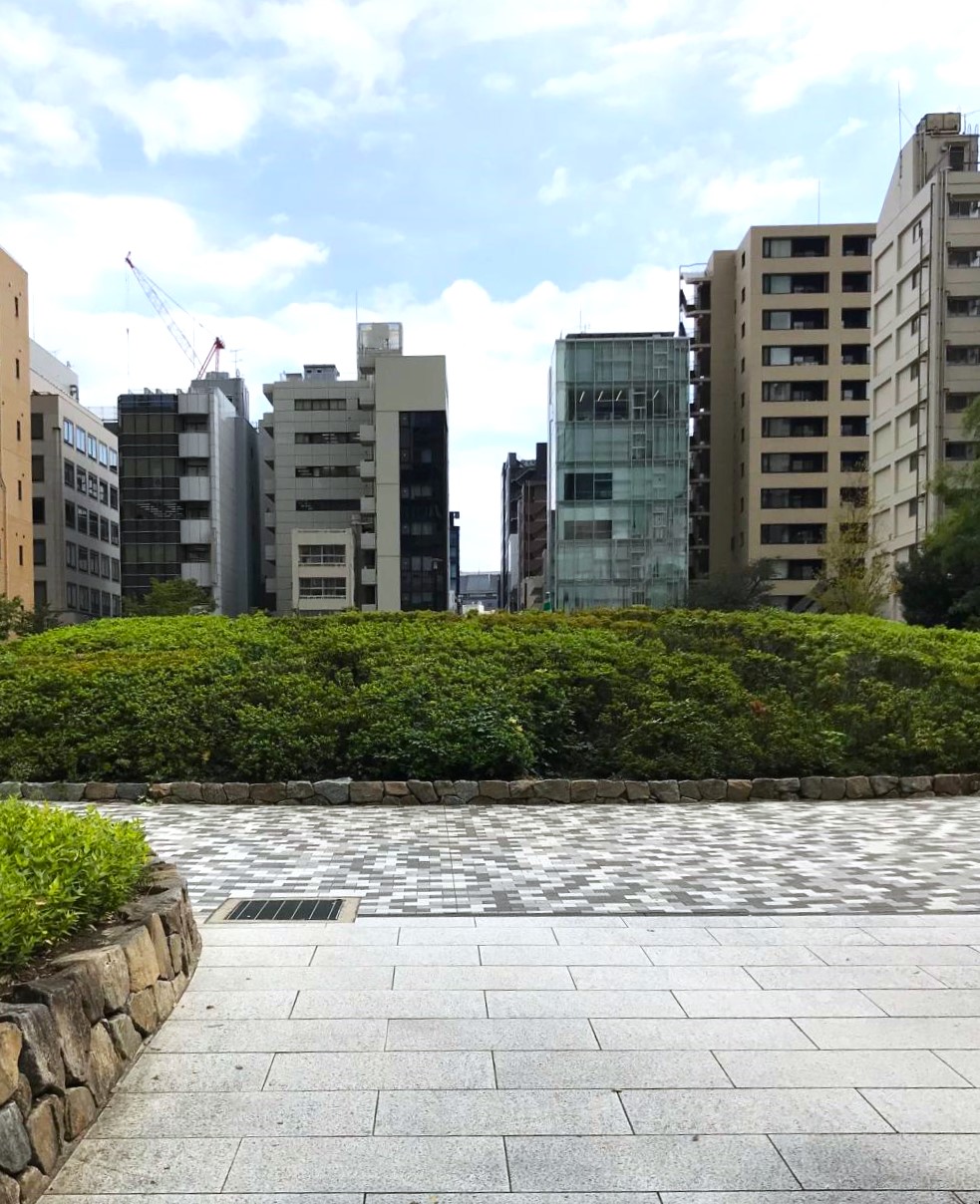  Autumn has come to Sakamotocho Park
