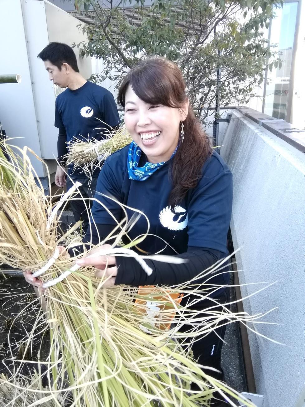  2023 Hakutsuru Ginza Tenku Farm
　Grade inspection of the harvested sake rice
　　~ Hakutsuru Sake Brewery ~