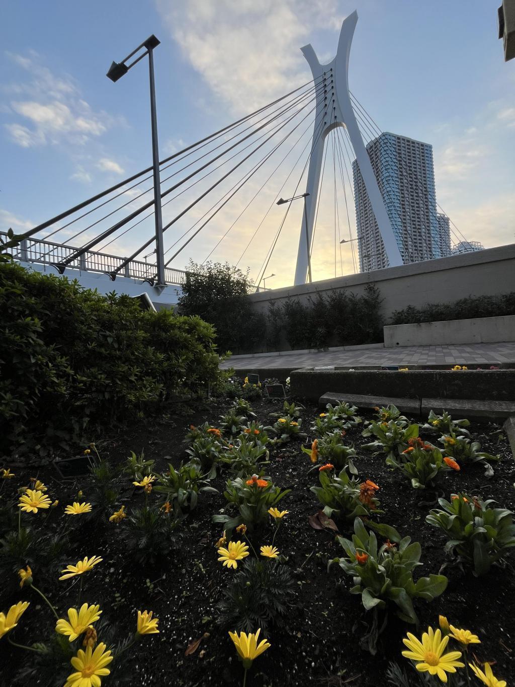  How about a walk on the Sumida River Terrace?