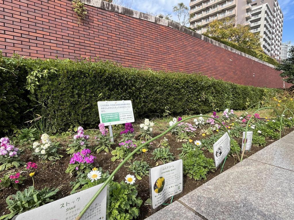  How about a walk on the Sumida River Terrace?