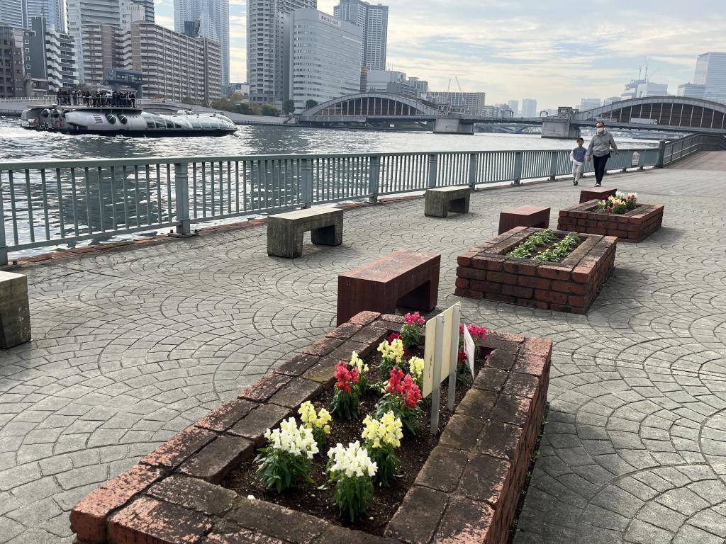  How about a walk on the Sumida River Terrace?