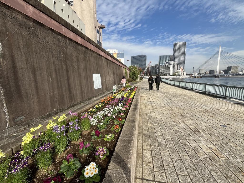  How about a walk on the Sumida River Terrace?