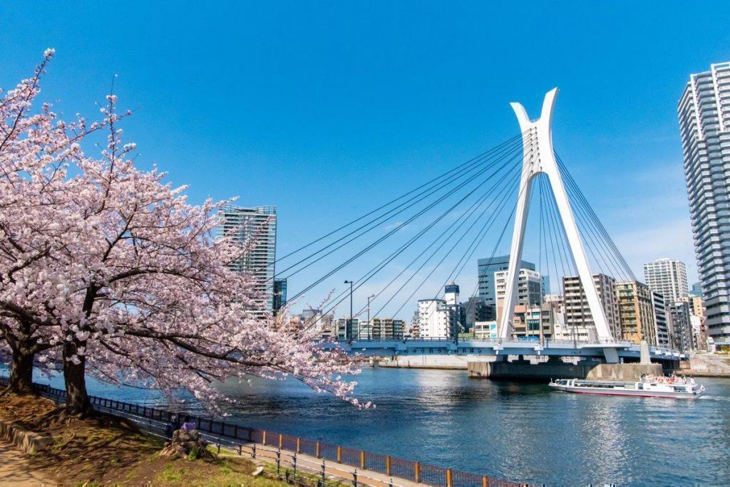 　　　Cherry blossoms are in full bloom in spring How about taking a walk on the Sumida River Terrace?