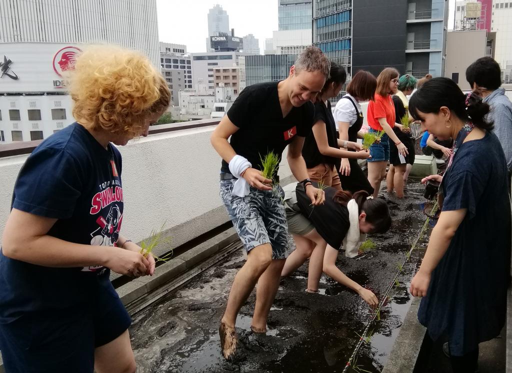  Hakutsuru Ginza Tenku Farm, rice planting again this year in 2019-Hakuzuru Sake Brewery-