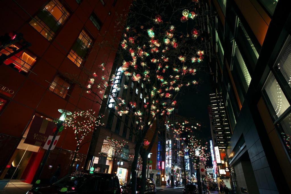  Ginza Winter Illumination 2023-2024