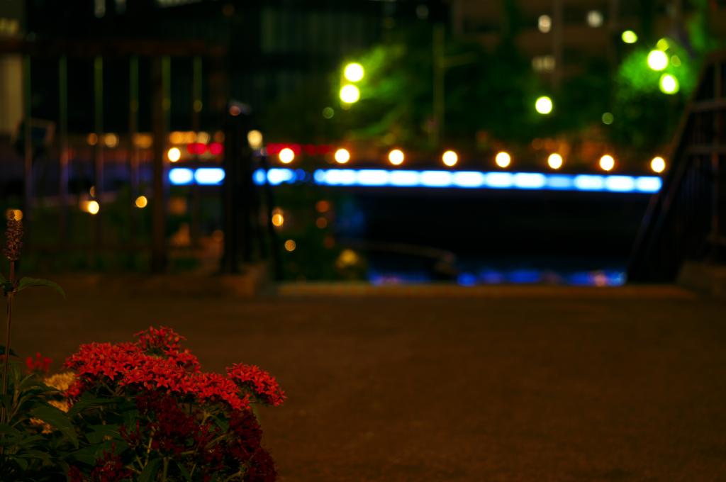 Night view of Takahashi Takahashi and Minami Takahashi Waterside