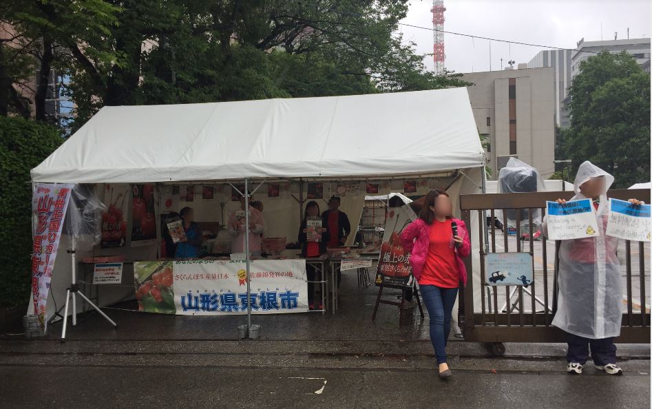  The cherry blossoms of Higashine City have come! "The 19th Chuo-ku Cherry Festival"