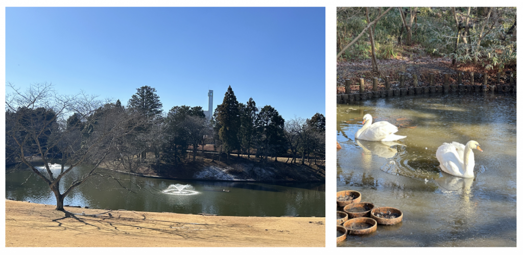 Garden and Restaurant Excursion Report: Kawamura Memorial DIC Museum of Art　