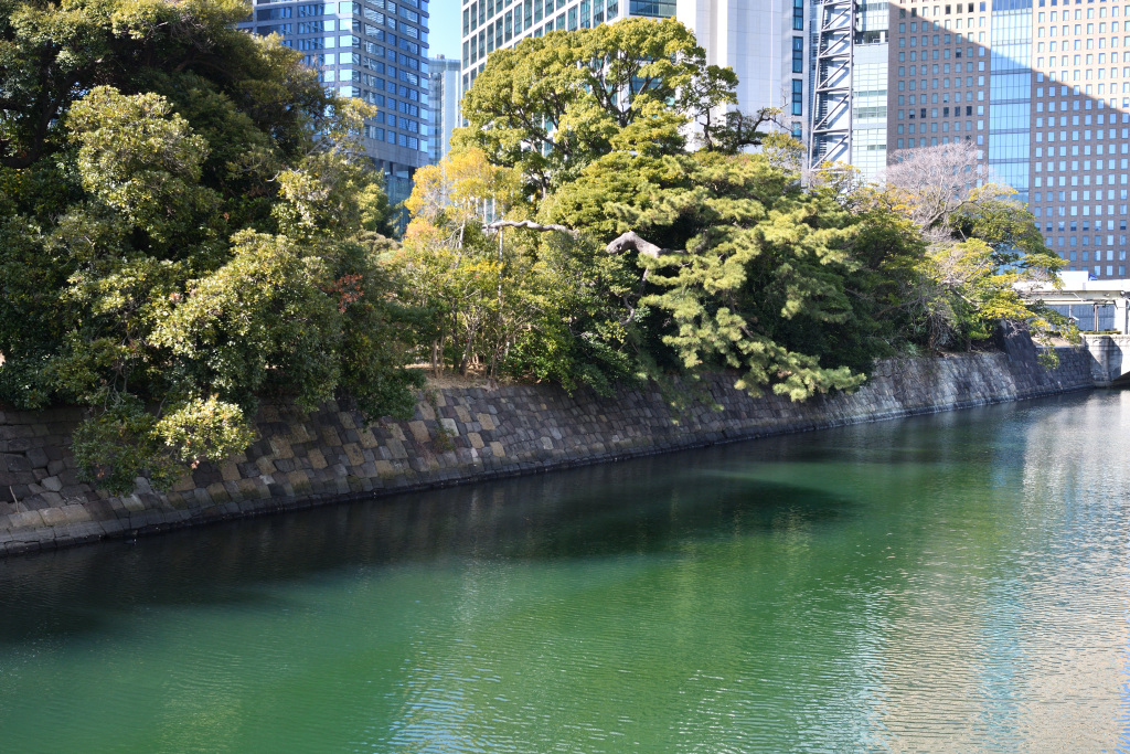  Hamarikyu Garden viewed from a temporary road along the Tsukiji River.