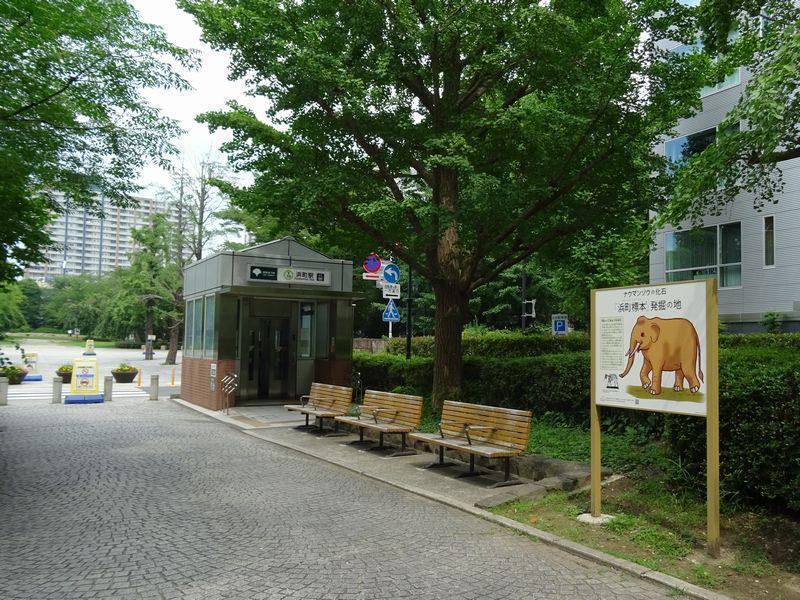 The elephant Chuo-ku found in Hamacho has a deep connection with the elephant.