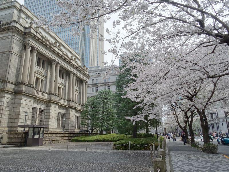 The elephant Chuo-ku found at the Bank of Japan has a deep connection with the elephant.