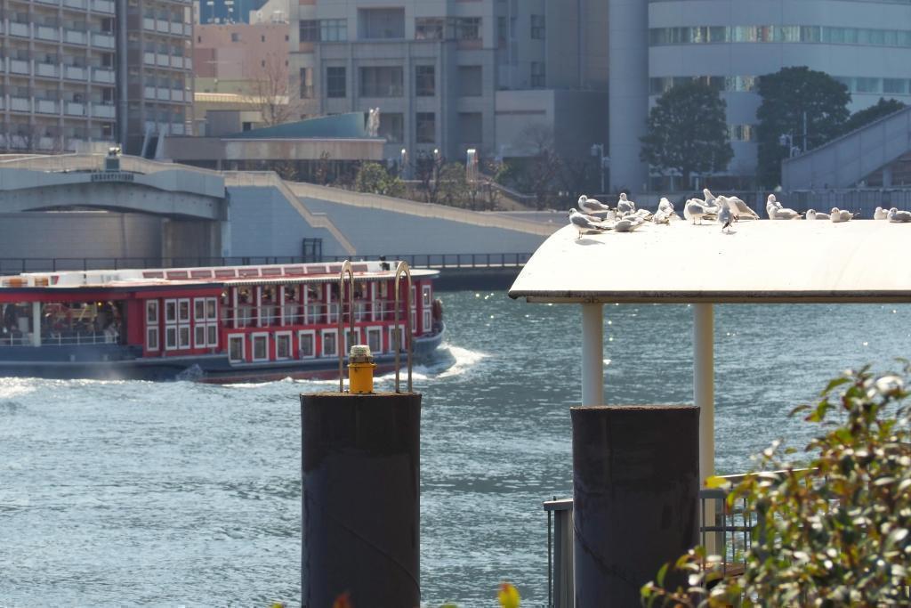  Walk from Tsukiji Station to Sumida River