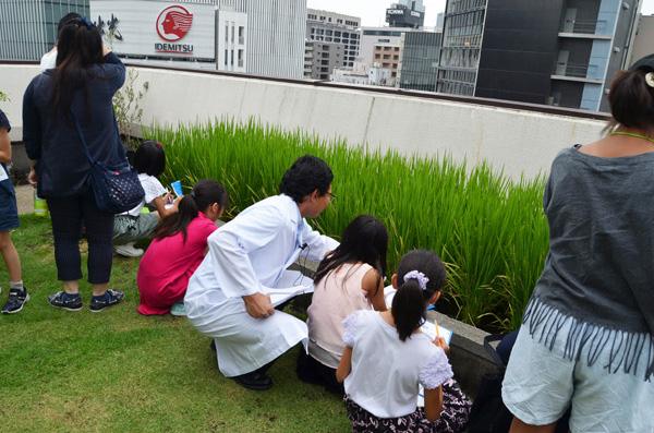  Introduction of seminars held from mid-July to early August 2019-Hakuzuru Ginza Style-