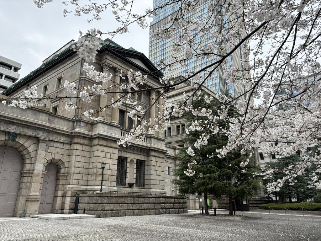 Cherry blossoms at Edo Sakura-dori St. 2 Nihonbashi area cherry blossoms are beginning to bloom.