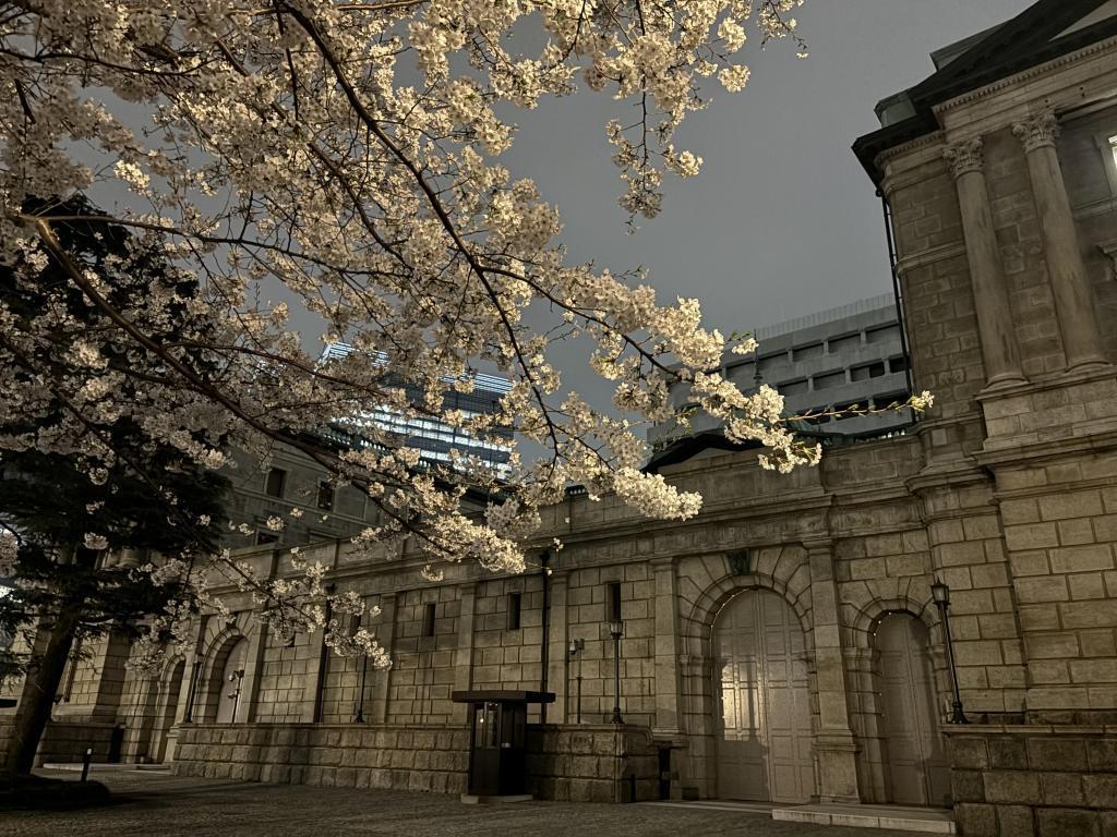 Inspired by the cherry blossoms in front of the Bank of Japan, Nihonbashi Edo Sakura-dori St. and night cherry blossoms are also recommended.