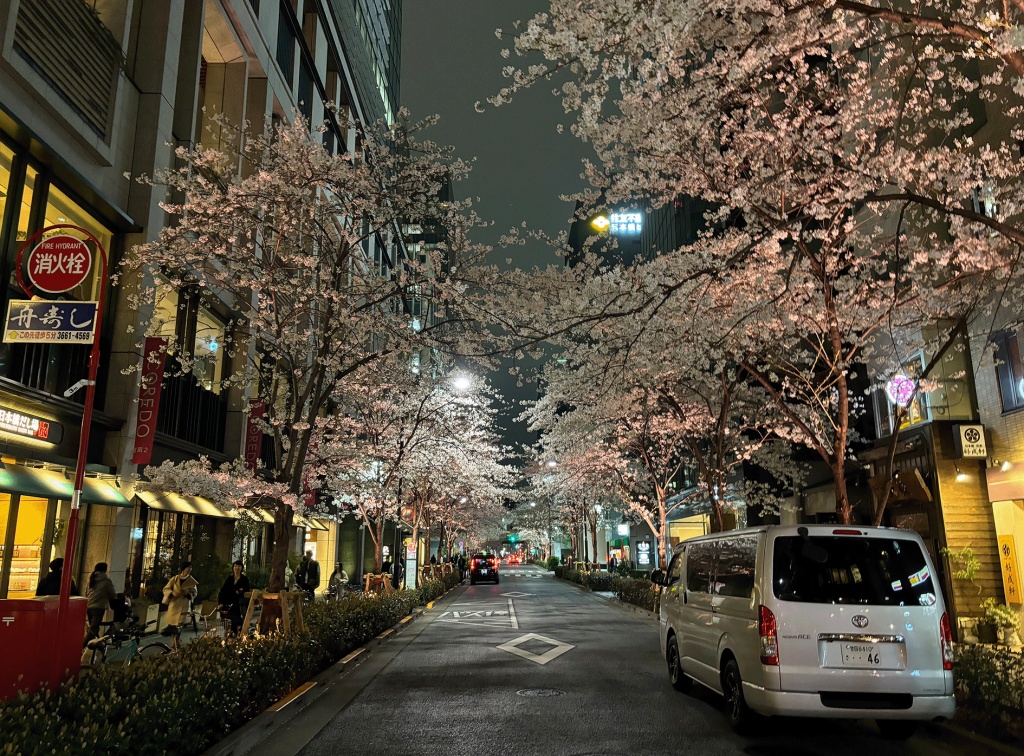 The choledo Muromachi area is also tasteful, and Ryohinichi Motohashi Edo Sakura-dori St. and night cherry blossoms are also recommended.