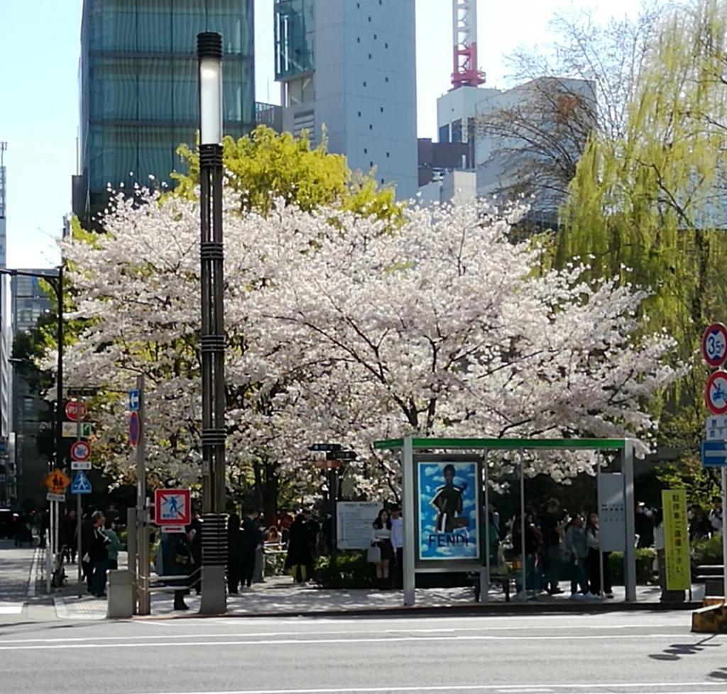  Hana no Ginza Sukiyabashi Park
　　～ Relaxation on holidays ～