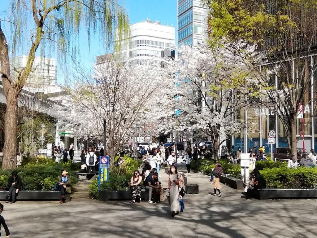  Hana no Ginza Sukiyabashi Park
　　～ Relaxation on holidays ～