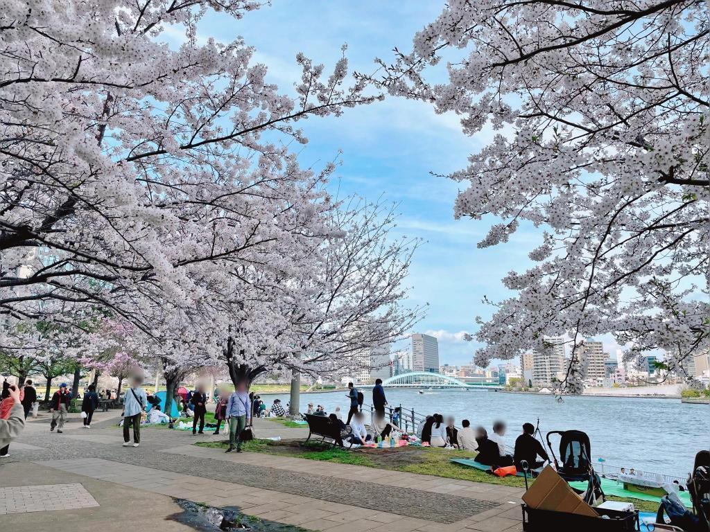  "Sushi" cherry blossom viewing spot on Sumida River Terrace