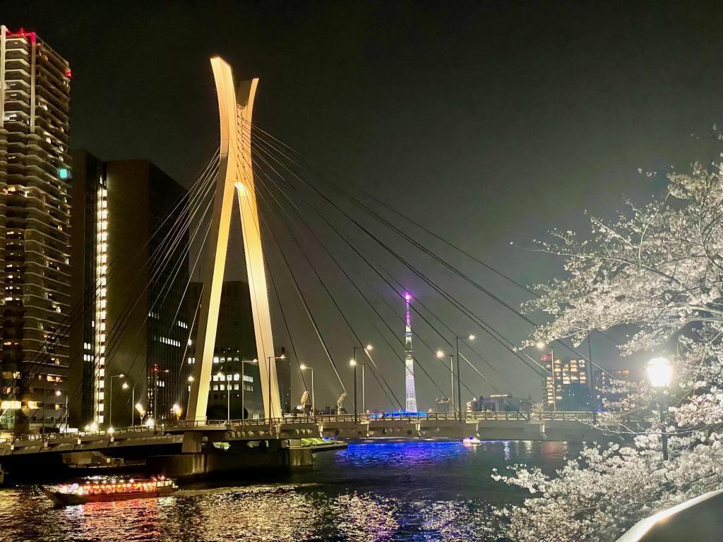  "Sushi" cherry blossom viewing spot on Sumida River Terrace