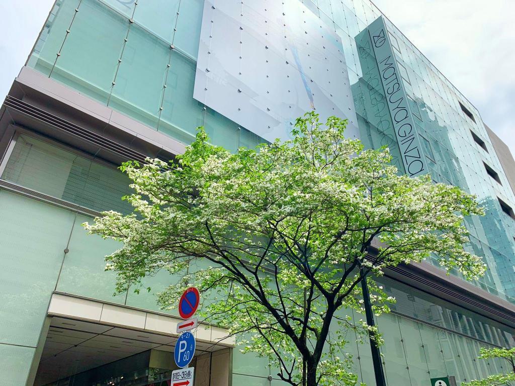  The dress of flowers on Matsuya Street