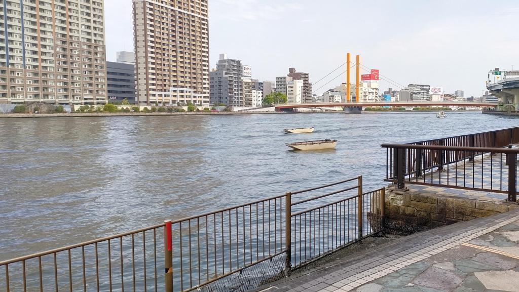 Hamacho Park (starting point) I saw it again this year! Waseda-Keio Regatta 2024