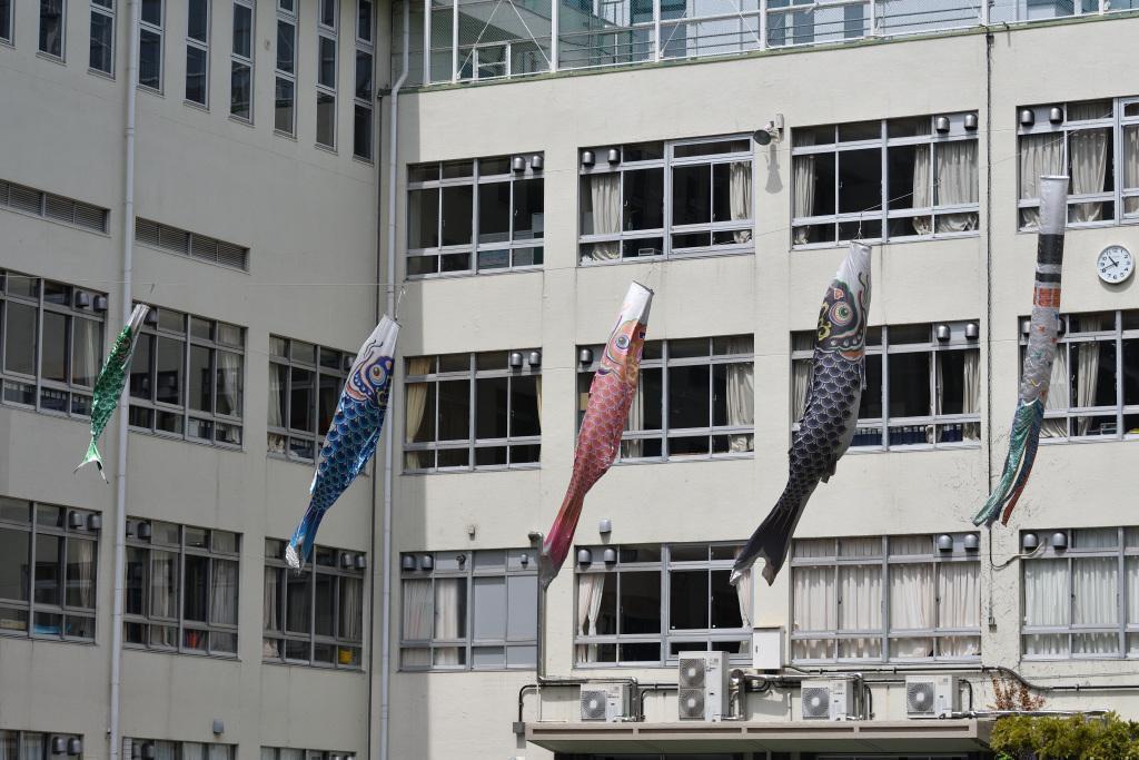  KOINOBORI swim in the sky of May